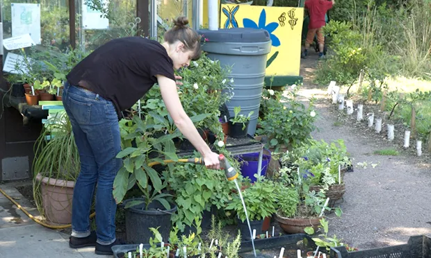 Join a free six-week course St Mary’s Secret Garden