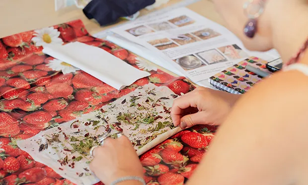 Natural dye studio in Hackney teams up with underwear firm to create ‘soil to soil’ pants – with crowdfunder to start soon