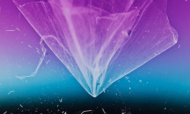 Anne Hardy: Rising Heat, Maureen Paley: ‘A piece of waste becomes a diaphanous pink ghost’