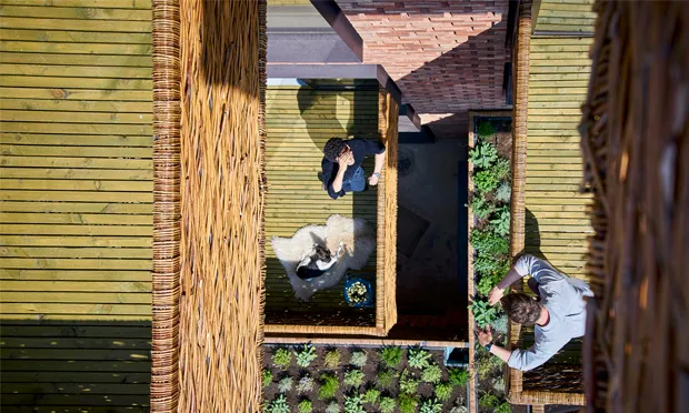 Basket case: a supine look at Barrett’s Grove's eye-catching balconies. Photograph: Tim Soar