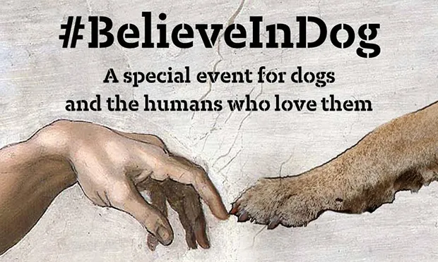 Stoke Newington church to host Sunday service – for dogs