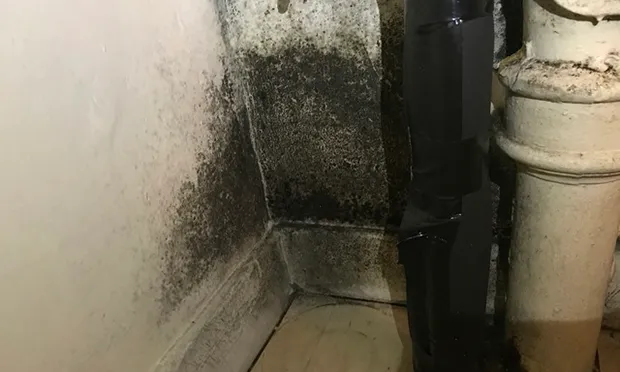 Hackney Council ‘redoubling efforts’ to tackle mould in its homes following death of toddler in Rochdale