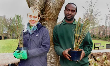 Butterfield Green gets prairie treatment