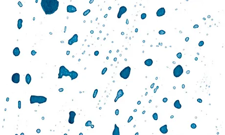 carriers kate owens seventeen gallery