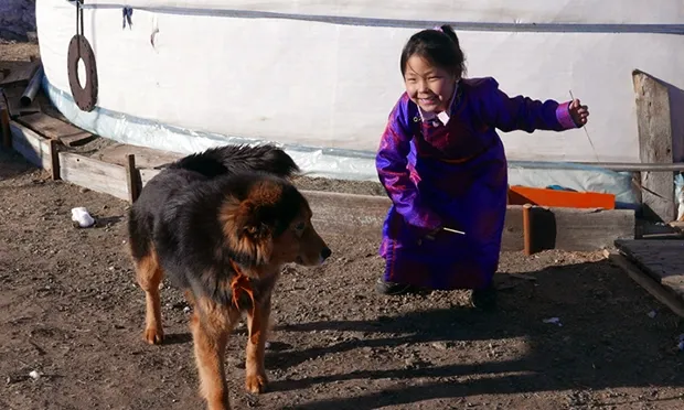 ‘Impossible not to be curious’: Photographer challenges stereotype of nomadic Mongolians with exhibition on yurt-dwelling commuters