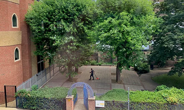 ‘Absolute outrage’: Four trees to be felled in East London despite residents’ battle to save them