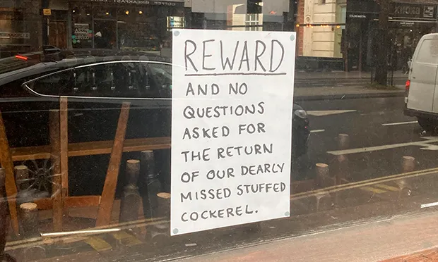 ‘We would forgive and forget’: Hackney pub appeals for return of stuffed cockerel mascot