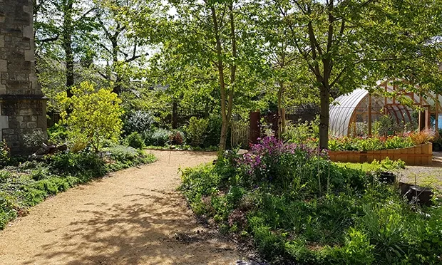 Mental health charity to open beautiful garden ‘sanctuary’ in Homerton
