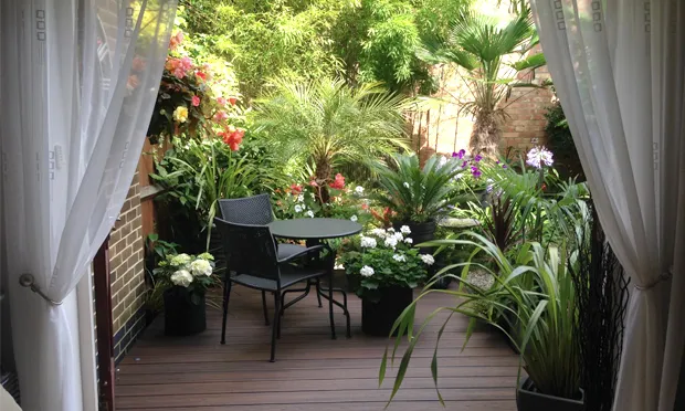 Fresh from starring in Gardeners' world, we have some shots of Mike Spezzano's 'exotic Dalston oasis'. Photographs: Mike Spez