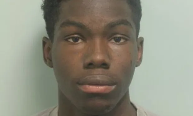 Teen pleads guilty to acid attack spree