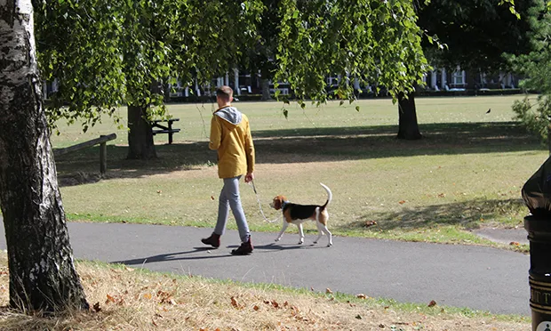 A man walking a dog on Hackney Downs today. The council has said people should be vigilant after a string of apparent poisoni