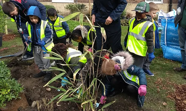 Tree-planting success for Stamford Hill Estate community group