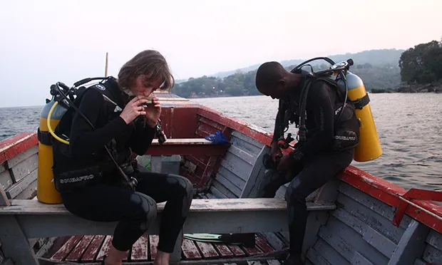 We Swim to the Shark, Georgie Codd, book review: ‘Subtle insight into the inner psyche and the natural world’