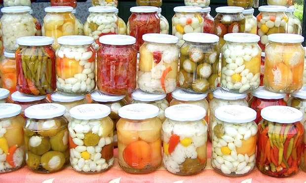 All in a pickle: Gillian Riley turns her eye to microbes