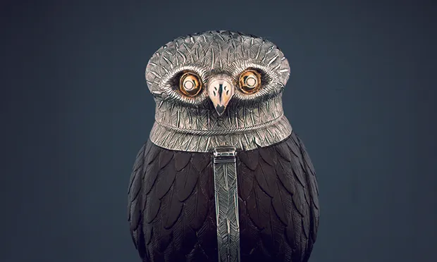 Palm reading: Gillian Riley on coconuts