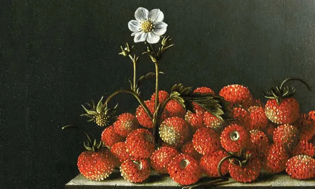 Detail from Adriaen Coorte’s Strawberries Mauritshuis (1696). Image courtesy Wikimedia Commons.