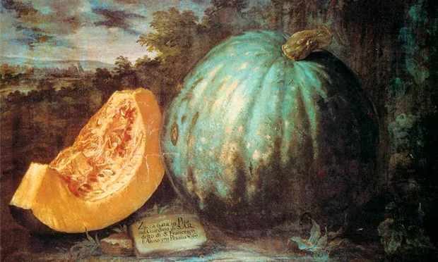 Bartolomeo Bimbi’s The Pumpkin (c. 1650). Image: Wikimedia Commons