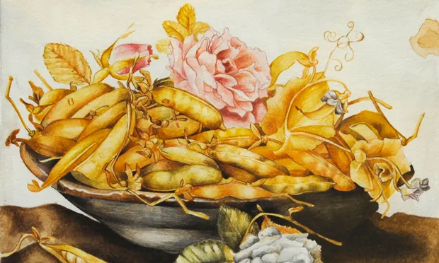 'Mature': detail from Giovanna Garzoni’s Plate of Peas (1651-62). All images: Wikimedia Commons