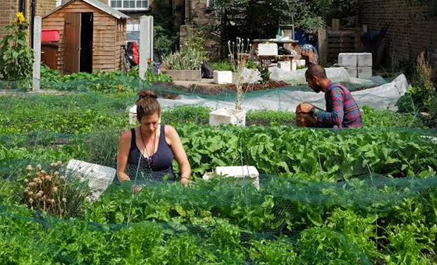 Driven off the land: Growing Communities had used the space behind the high street for several years