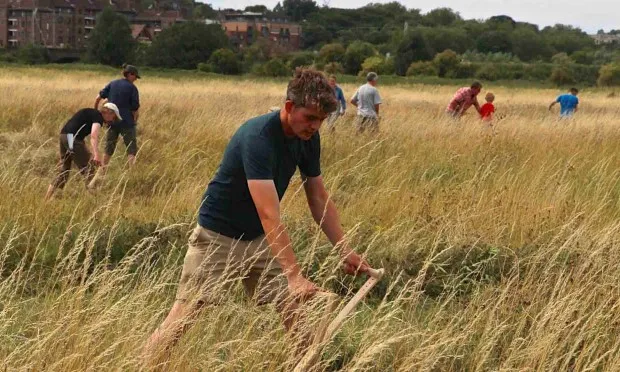 ‘Scything is the new yoga’: Annual hay harvest returns to east London