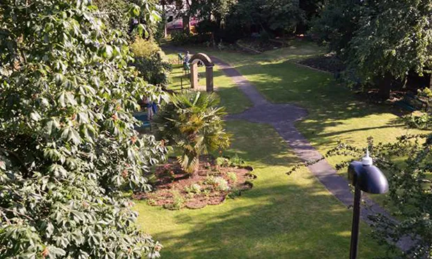 Hoxton charity to plant orchard of fruit trees for community’s most in need