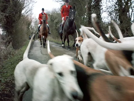 Hunt season begins: Tally Ho!