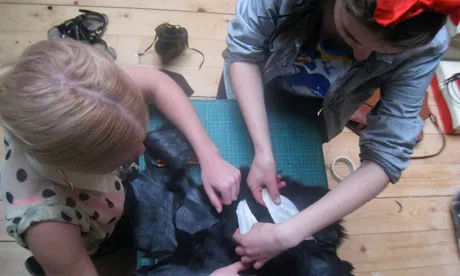 Now you can shoe it yourself