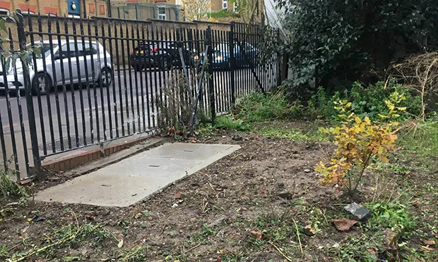 The Citizen Gardener: ‘It’s easier to erect a building than plant a tree’