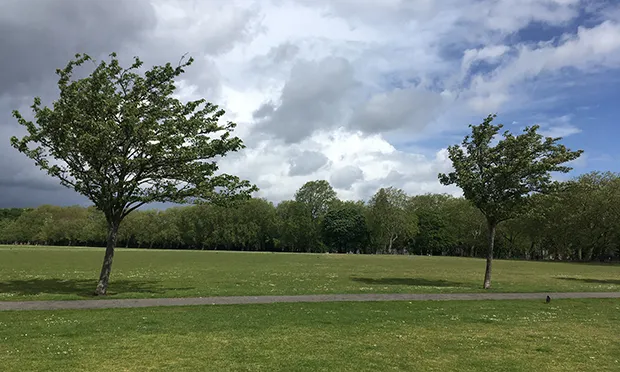 The Citizen Gardener: Sowing in the wind