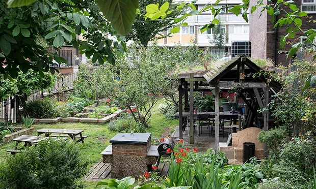 The Citizen Gardener: ‘It’s time for the untidy to have a go’