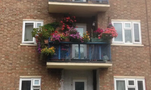 The Citizen Gardener: ‘You don’t need a big space’