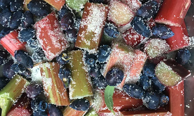 The Citizen Gardener: Strawberries aren’t the only summer fruit