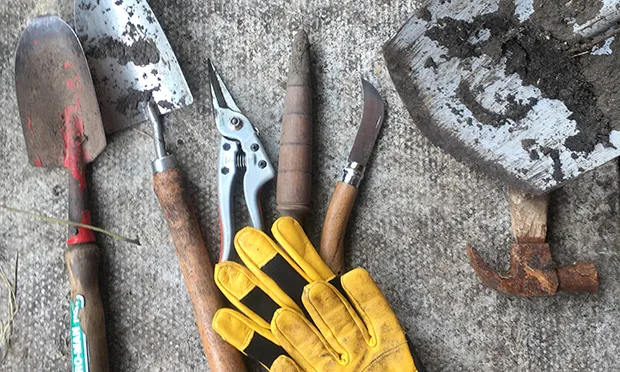 The Citizen Gardener: ‘Life is so much harder when you don’t have the right tools’