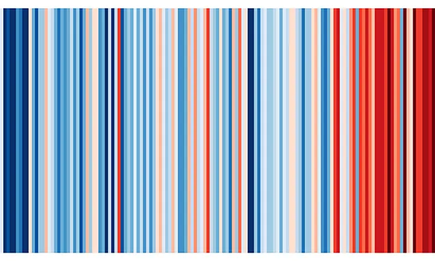 The Citizen Gardener: Bringing in the rain