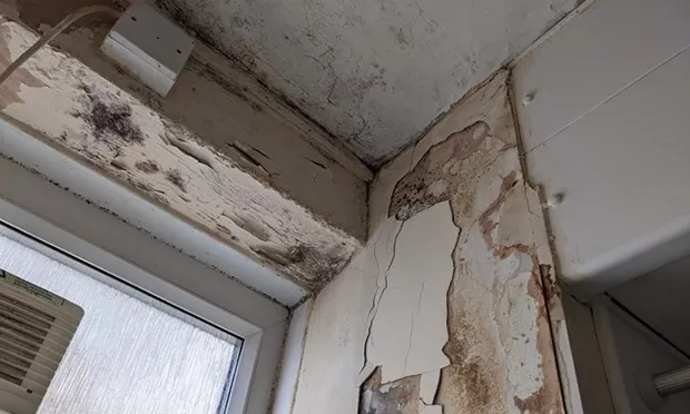 Hackney mother who fears mould in her council flat is affecting her children’s asthma calls for annual housing checks