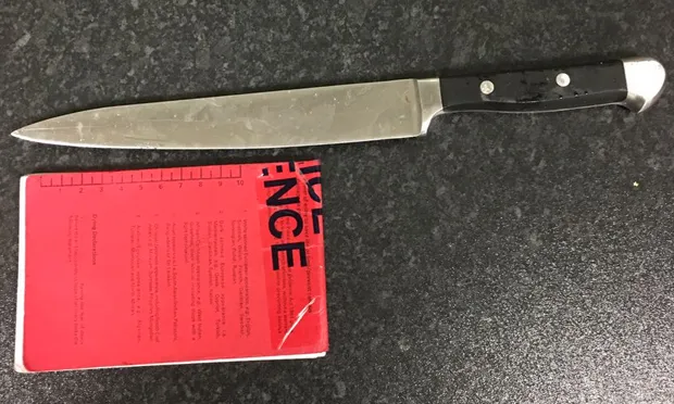 "Monster": the knife involved in the Dalston row. Photograph: Met Police via Twitter