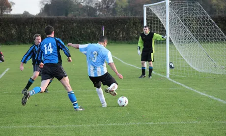 Swans soar high over the Lea Valley