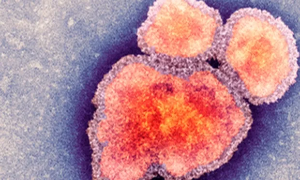 ‘Heading in the wrong direction’: Alarm over Hackney’s low measles vaccination rate