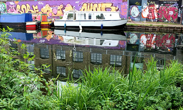 Thames21's latest reedbed design