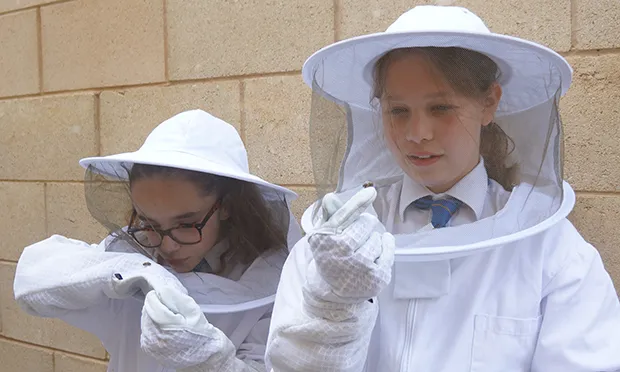 Let it Bee: Hackney’s Petchey Academy proud home to rooftop bee colonies