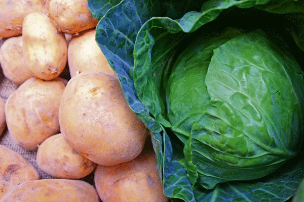 Affordable autumn fare