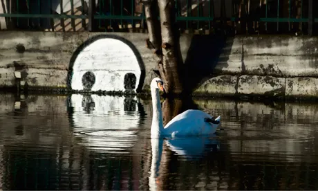 River Lea monster by Hackney artist Stik