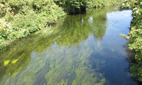 River Lea voted among nation’s worst rivers