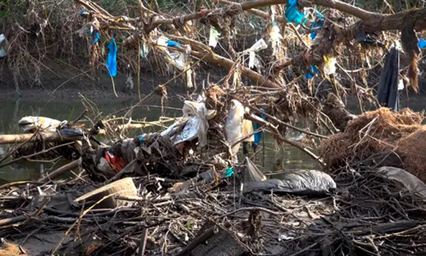 Campaigners call for action on ‘jaw-dropping’ amount of pollution in River Lea