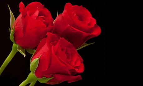 Don’t let your Valentine’s gift be chlamydia, says Hackney NHS