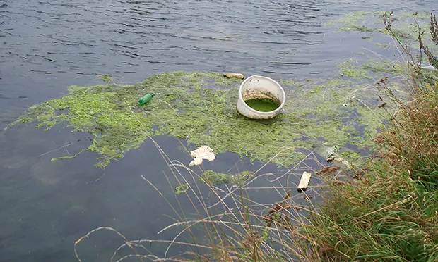 Town Hall ‘demands action’ from Environment Agency to clean up River Lea