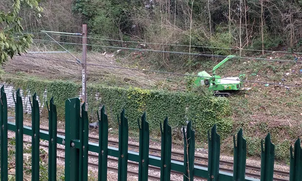 Network Rail to warn residents about tree-felling following upset at Stamford Hill nature reserve