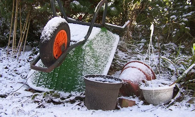 The Citizen Gardener: Planting the flowerbeds from bed