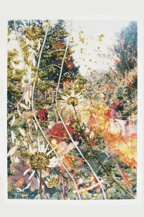 Buy Hackney artwork in aid of Haiti quake appeal