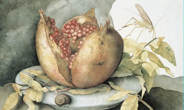 Living Dangerously with Pomegranates